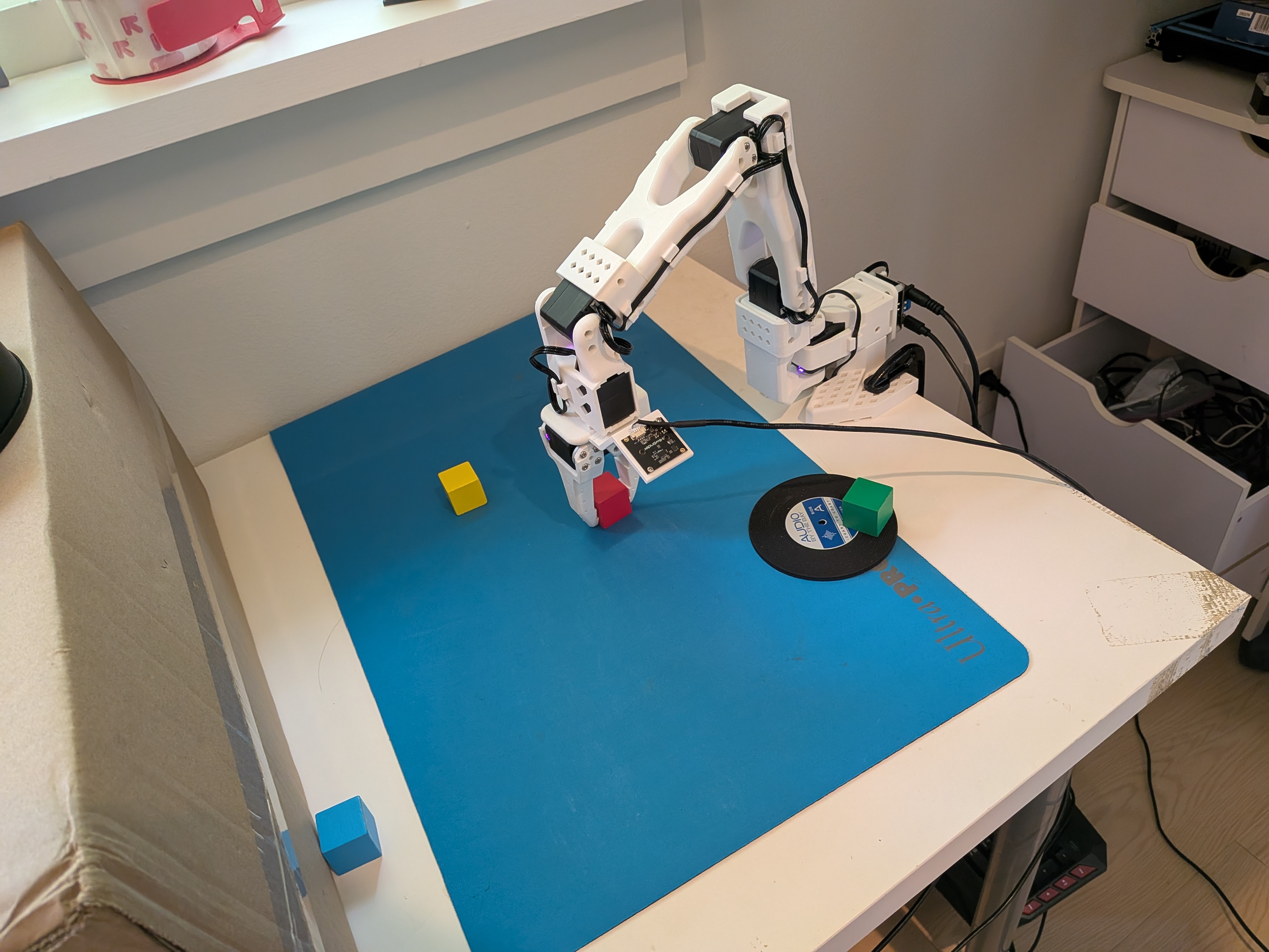 Robotic Arm Manipulation