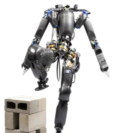 Nadia Robot